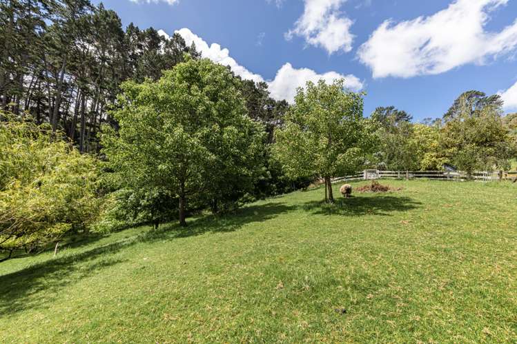 91 Browns Lane Flat Bush_5