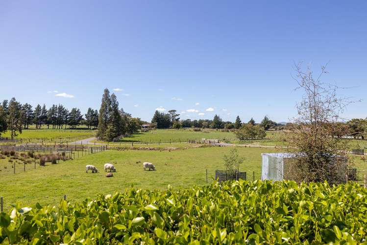 695F Chester Road West Taratahi_20