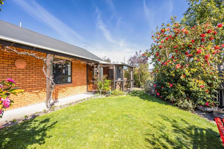 3/41 Fuller Street_0