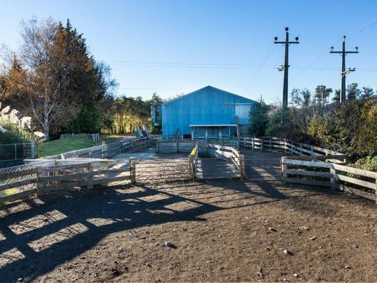 77 Wairongoa Road North Taieri_5
