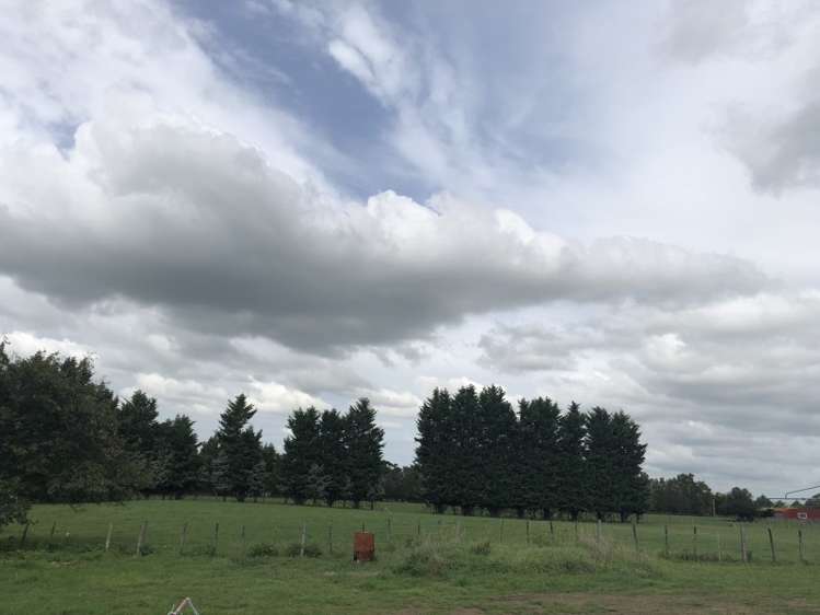 149 East Street Greytown_6