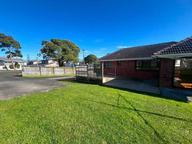 98 Terry Street, Blockhouse Bay