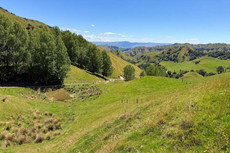 131 Rangitane Road Mangaweka_22