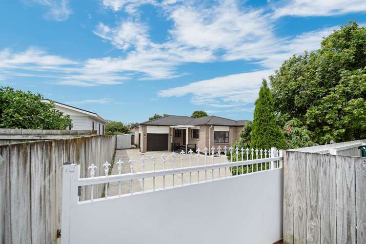 3A Freyberg Avenue_0