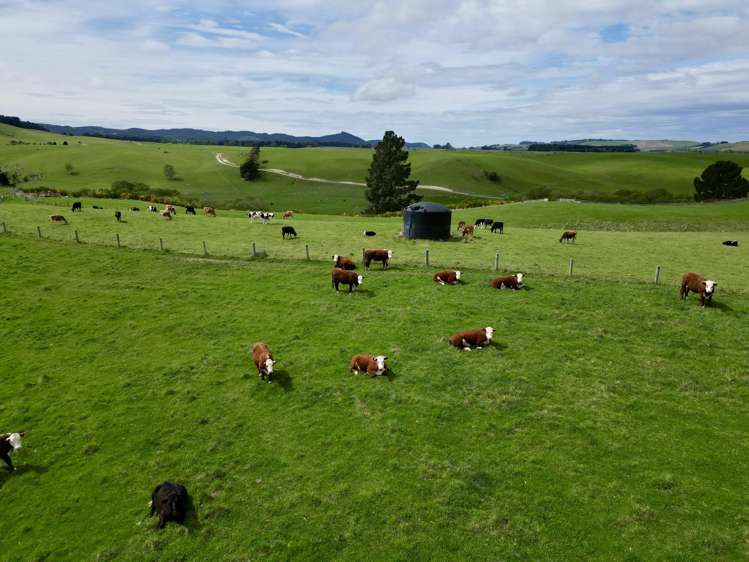 Palmerston-Dunback Road/Switchback Road Palmerston_12