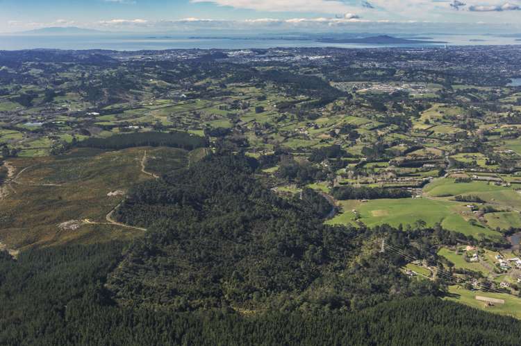 Cobblers Lane Riverhead_14