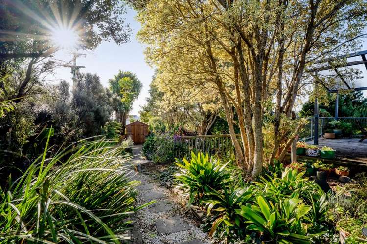 125A Wairau Road Oakura_18
