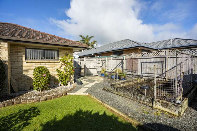 51 Amber Drive Tikipunga_19