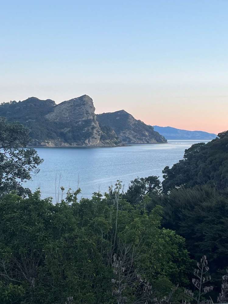 349 Blind Bay Road Great Barrier Island_61