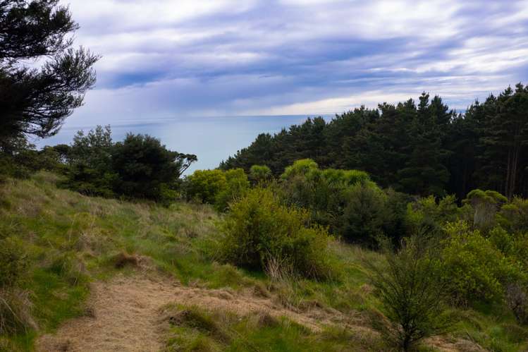 Whaanga Road Raglan_14