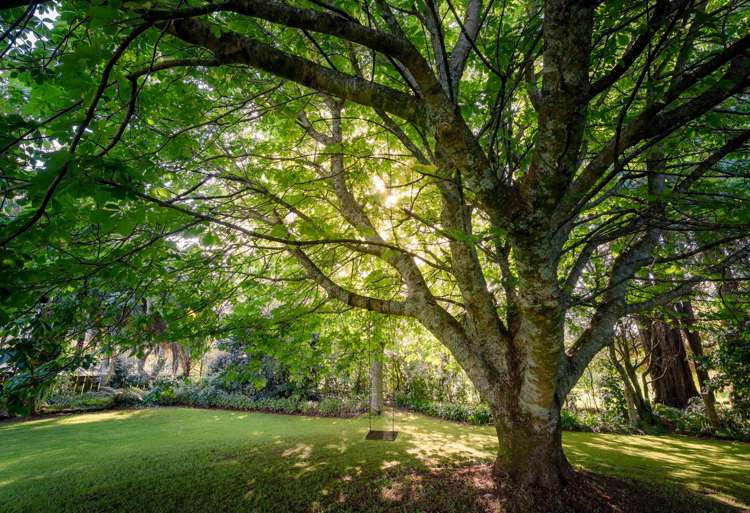 598 Takaka-Collingwood Highway Kahurangi National Park_24