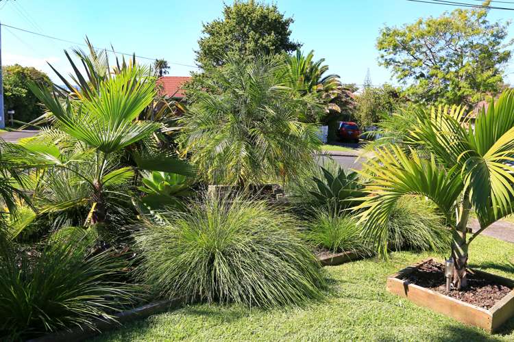 1/6 Riverview Road New Lynn_2