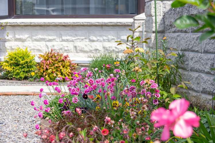 19c Cole Street Masterton_23