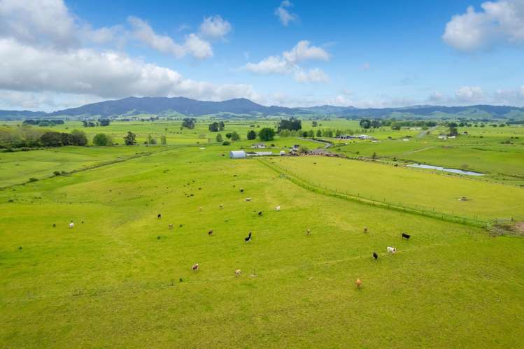 740D Tainui Road Hoe-o-tainui_23