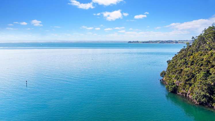 124 Cornwallis Road_4