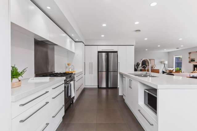 50b Konini Road Greenlane_2