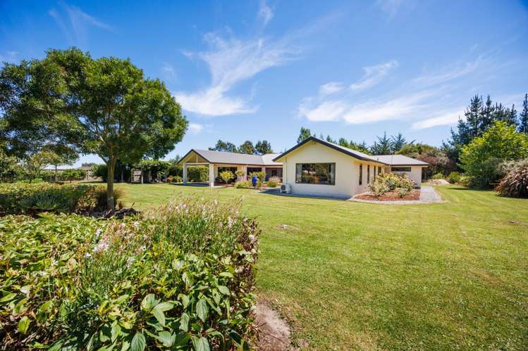572 Taonui Road Colyton_24