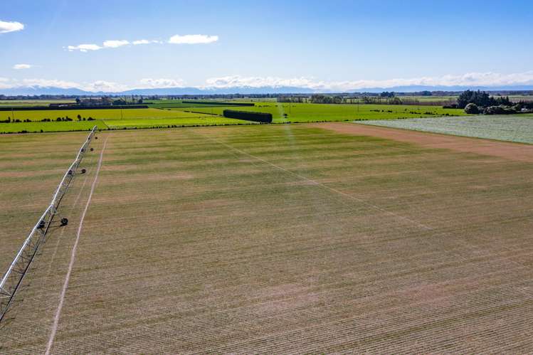 Selwyn Lake Road Leeston_11