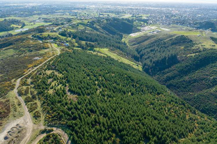 361 Worsleys Road Cashmere_5