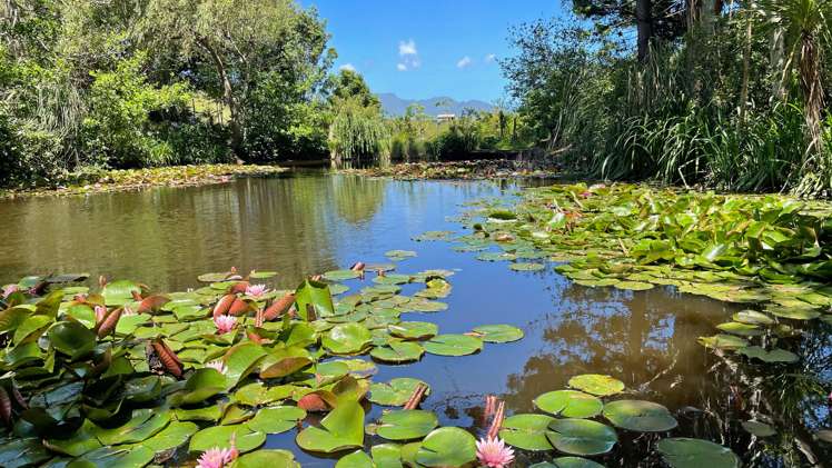 91b Greenslade Road Raglan_11