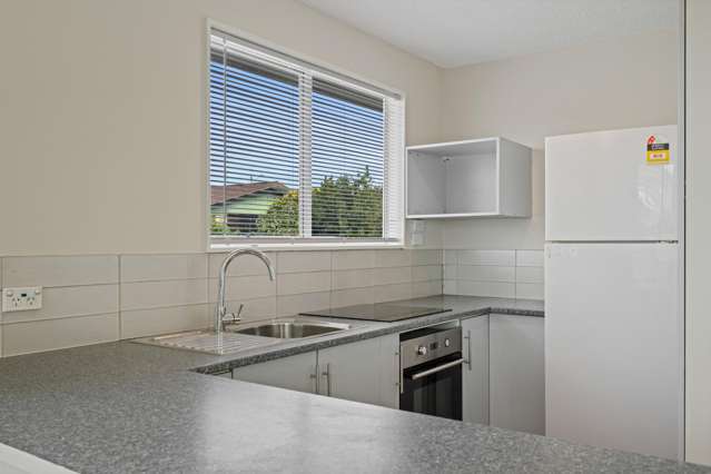 14 Cleghorn Street Redwoodtown_4