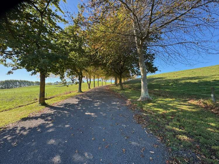 Tuki Tuki Road Haumoana_5