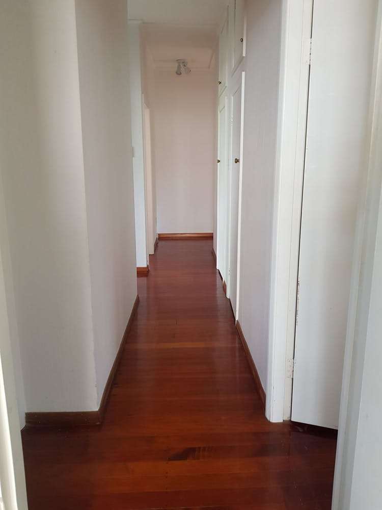 73 Speight Road Saint Heliers_8