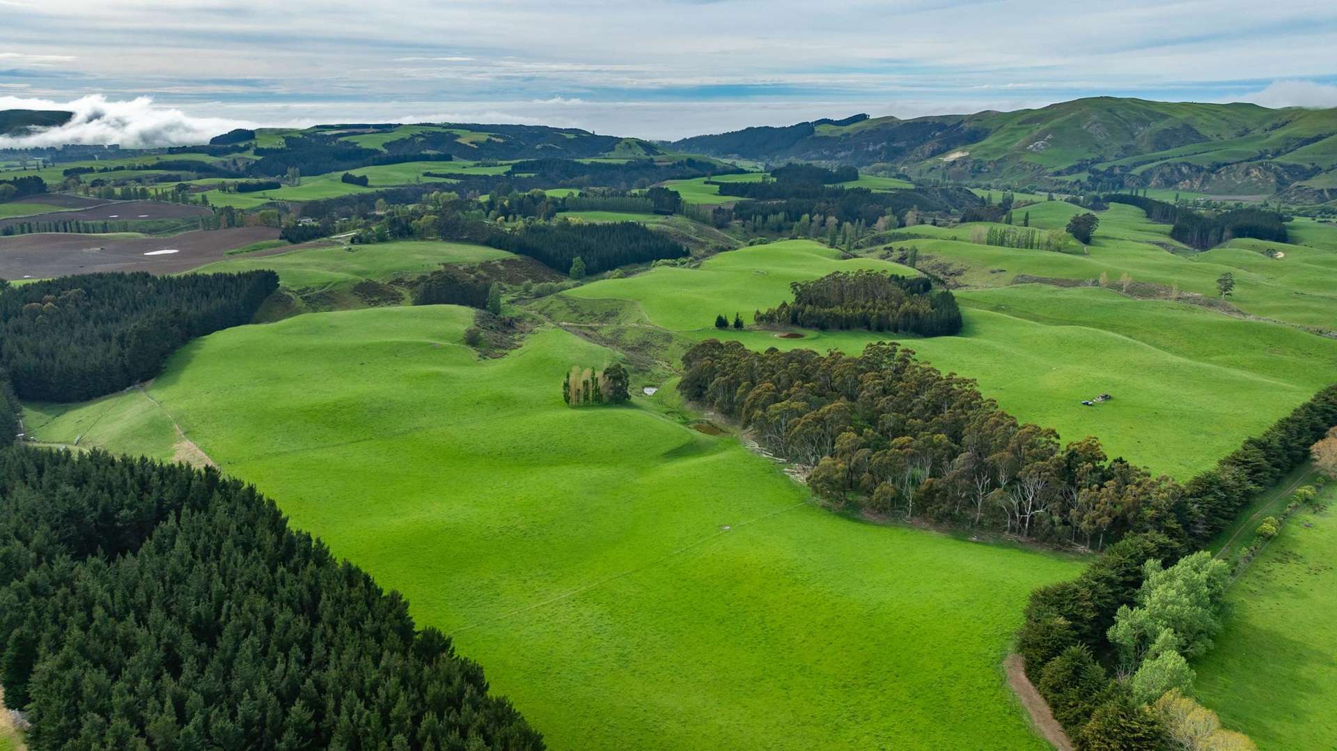 1241 Blythe Road Domett_0