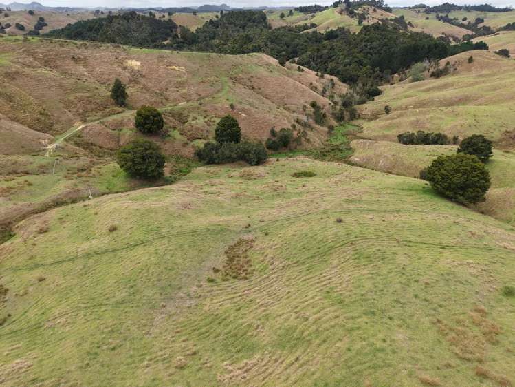 290 Hillcrest Road Waiotira_14