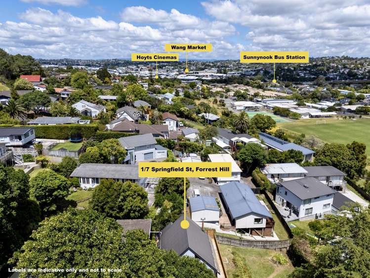 1/7 Springfield Street Forrest Hill_29
