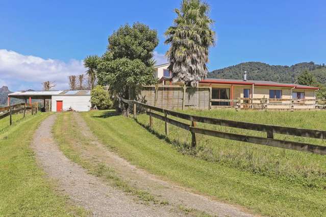 327 Rea Road Hauraki Surrounds_2