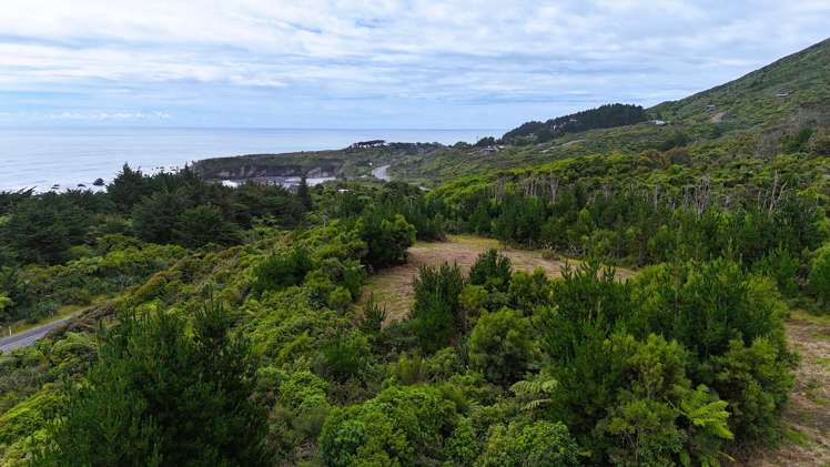 5296D State Highway 6 Punakaiki_6