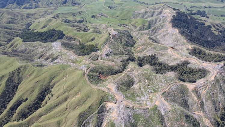 812 Waiterimu Road Te Kauwhata_3