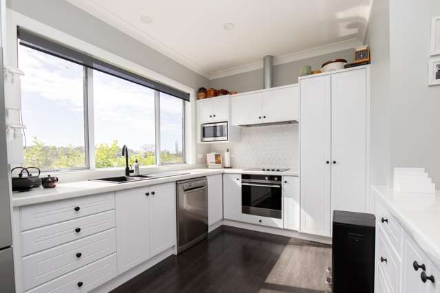 166a Pipiroa Road Ngatea_1