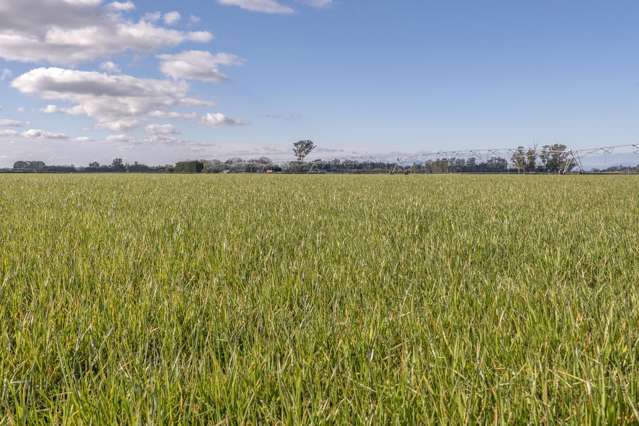 Cryers Road Southbridge_4