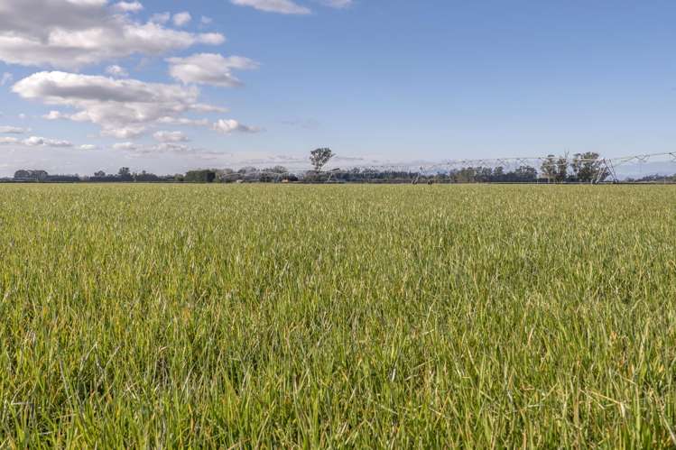 Cryers Road Southbridge_4