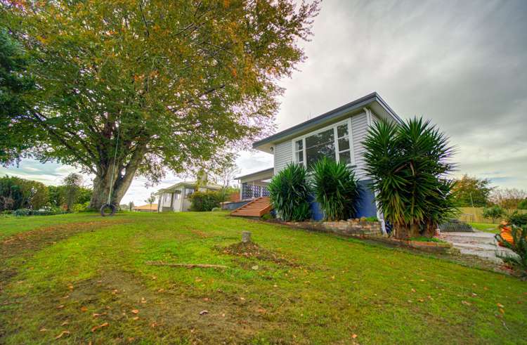 49 Leslie Street Kihikihi_19