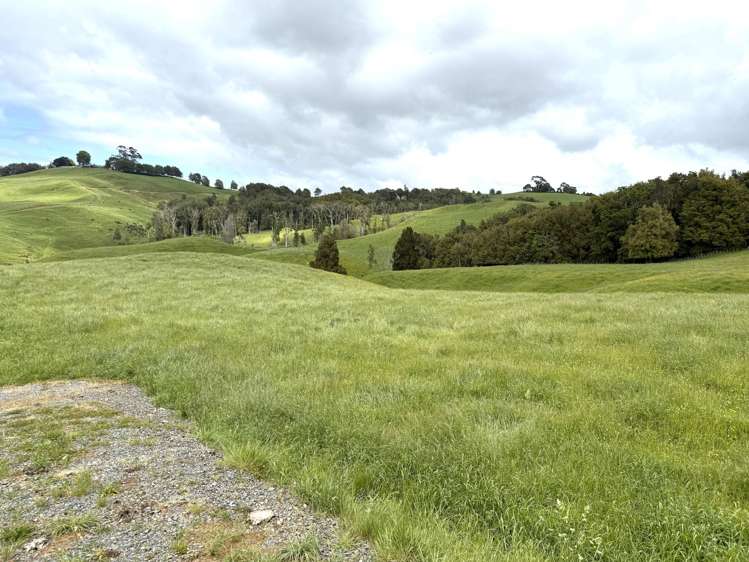 Taotaoroa Road Karapiro_43