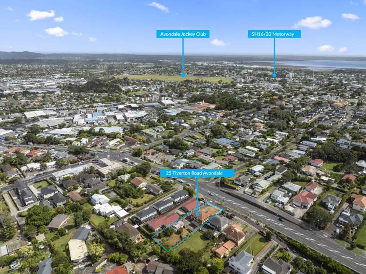 25 Tiverton Road Avondale_5