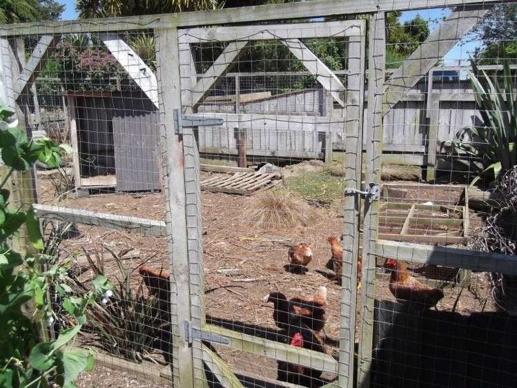 4 Olivia Street Stratford_16