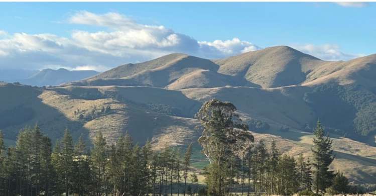 1037 Athol-Five Rivers Highway Lumsden_2