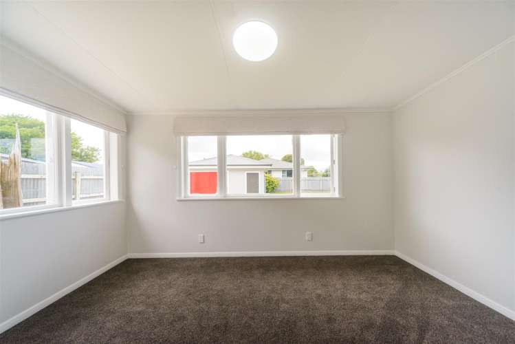 9 Bull Street Bulls_11