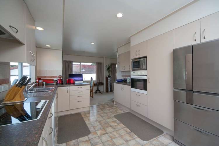 8 Palm Court Drive Glen Eden_1