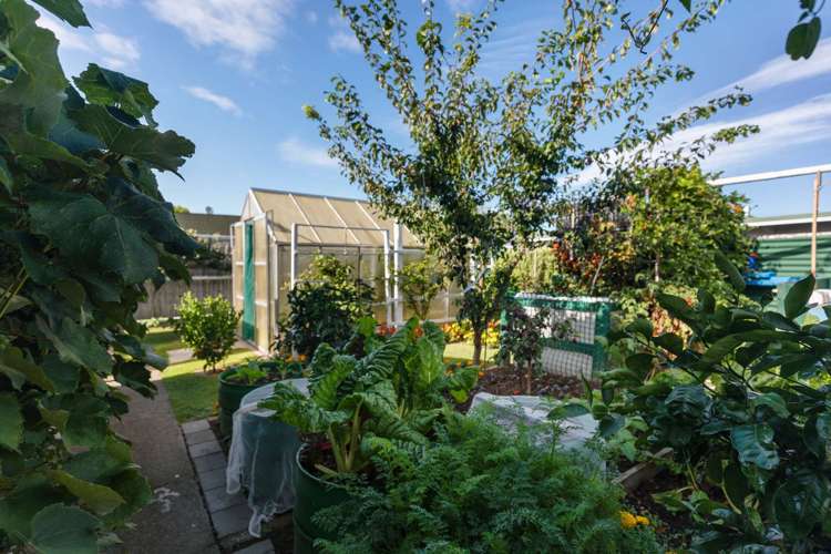 2b Wybo Veldman Place Whakatane_17