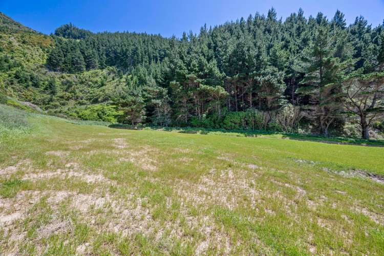 815 Manaroa Road Marlborough Sounds_17