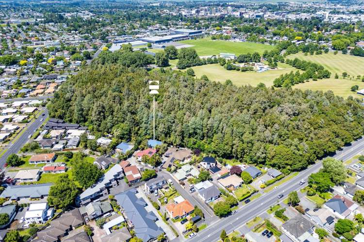 54A Boundary Road Claudelands_20