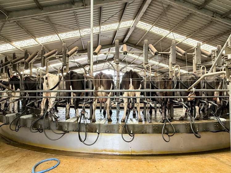 251 Rakahouka Hedgehope Road Mabel Bush_12