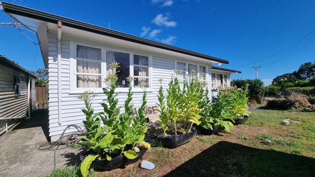 607 Thames coast Road Waiomu_1