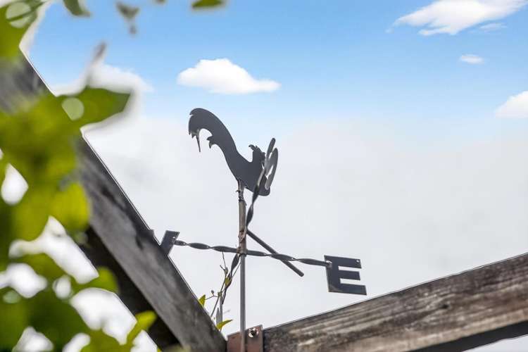 22 Widmore Drive Massey_29