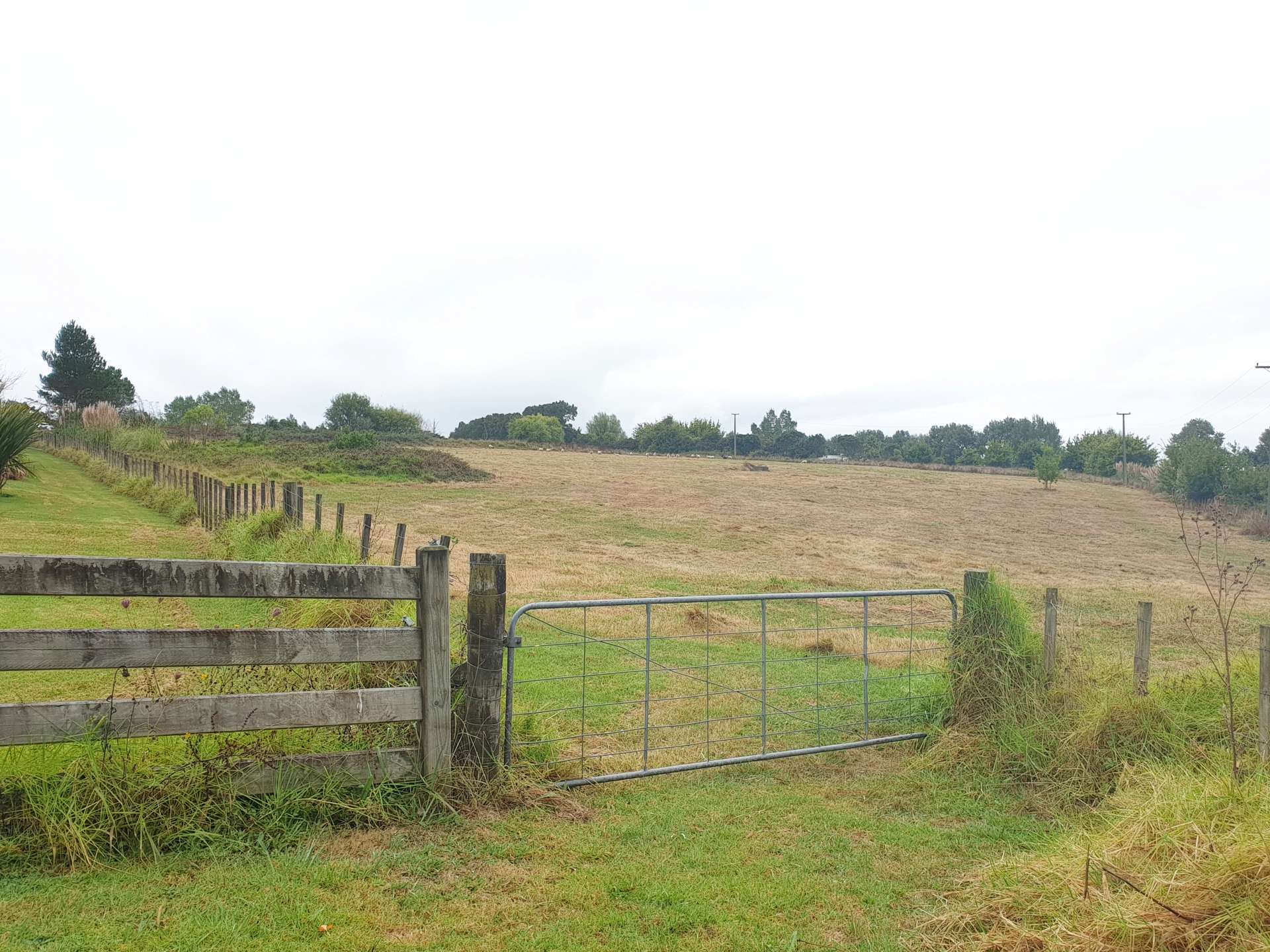 166 Top Road Dairy Flat_0